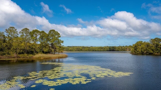 bayside lakes