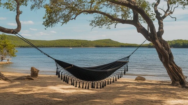 black hammock adventures