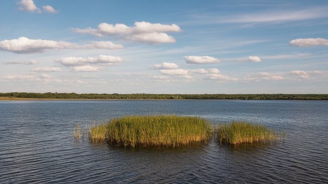 east lake tohopekaliga toho