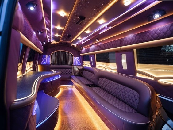 kissimmee sprinter limo rental inside