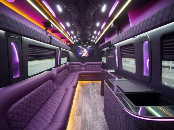 kissimmee sprinter limo rental interior